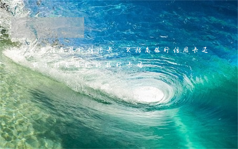 我欠招商银行信用卡-欠招商银行信用卡还能办招商银行的银行卡吗