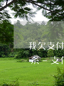 我欠支付寶借唄兩千上門嗎聯(lián)系-支付寶借唄欠款他會報警嗎