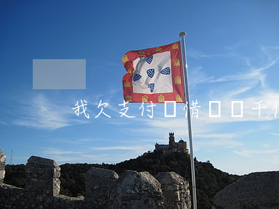 我欠支付寶借唄兩千(借唄欠了2千多怎么辦)