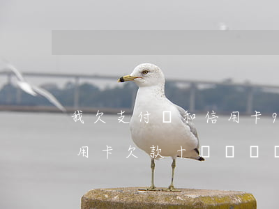 我欠支付寶和信用卡9萬咋辦呀-支付寶信用卡欠款十幾萬,暫時(shí)還不起