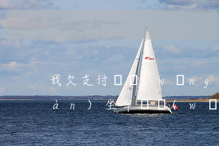 我欠支付寶網(wǎng)貸20幾萬(wàn)坐牢嗎(網(wǎng)貸支付寶不還會(huì)坐牢嗎)
