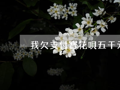 我欠支付寶花唄五千元沒還怎么辦