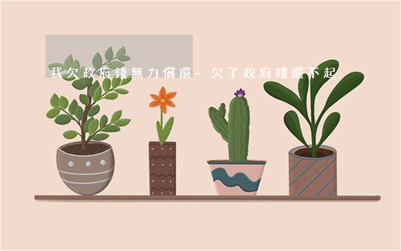 我欠政府錢無力償還-欠了政府錢還不起