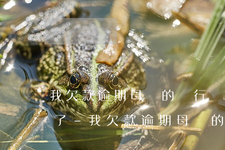 我欠款逾期母親的銀行賬戶凍結(jié)了-我欠款逾期母親的銀行賬戶凍結(jié)了怎么辦