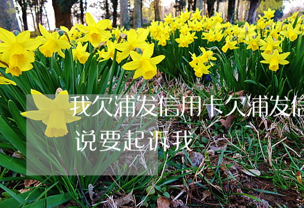 我欠浦发信用卡(欠浦发信用卡逾期3个月了说要起诉我)