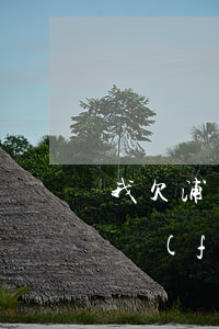 我欠浦發(fā)銀行萬(wàn)用金(浦發(fā)銀行萬(wàn)用金怎么沒(méi)有了)