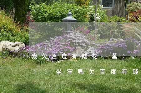 我欠百度有錢花一萬(wàn)五會(huì)坐牢嗎(欠百度有錢花幾千塊錢不還了會(huì)有什么)