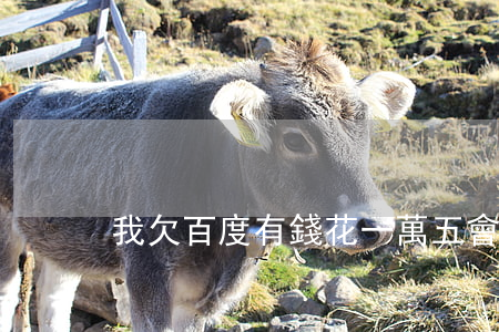 我欠百度有錢花一萬五會坐牢嗎-