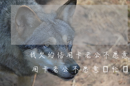 我欠的信用卡老公不愿意幫忙還-我欠的信用卡老公不愿意幫忙還怎么辦