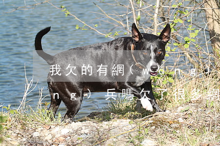 我欠的有網(wǎng)貸可以去當(dāng)兵嗎(欠了很多網(wǎng)貸然后去當(dāng)兵了)