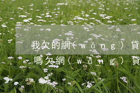 我欠的網(wǎng)貸會影響朋友的店鋪嗎(欠網(wǎng)貸不還會找到你公司嗎)