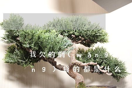 我欠的網(wǎng)貸算什么(欠網(wǎng)貸的都是什么人)