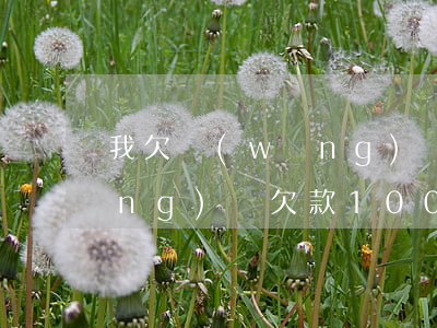 我欠網(wǎng)貸100多萬(網(wǎng)貸欠款100萬還不上)