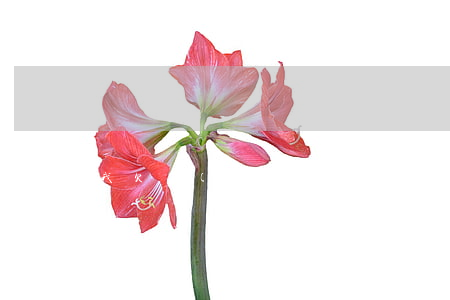 我欠網(wǎng)貸15萬和媳婦離婚怎么辦-我欠網(wǎng)貸15萬和媳婦離婚怎么辦呢