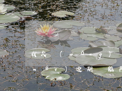 我欠網(wǎng)貸2萬(wàn)沒(méi)逾期還能再借嗎(我欠網(wǎng)貸2萬(wàn)沒(méi)逾期還能再借嗎)