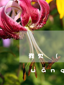 我欠網(wǎng)貸30萬還上不上(網(wǎng)貸欠30多萬還不起怎么辦)