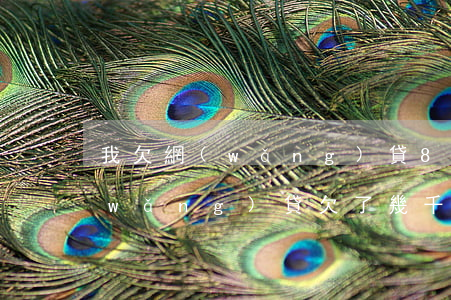 我欠網(wǎng)貸800元還不上(網(wǎng)貸欠了幾千塊錢還不上)