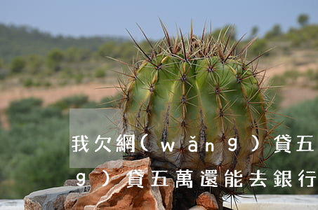 我欠網(wǎng)貸五萬(我欠網(wǎng)貸五萬,還能去銀行貸款嗎)