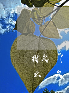 我欠網(wǎng)貸十多萬(wàn)怎么辦(欠網(wǎng)貸10多萬(wàn)怎么辦)