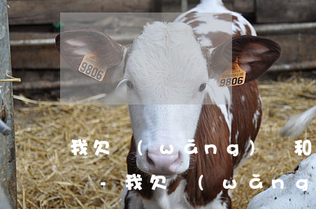 我欠網(wǎng)貸和信用卡20萬沒錢還-我欠網(wǎng)貸和信用卡20萬沒錢還怎么辦