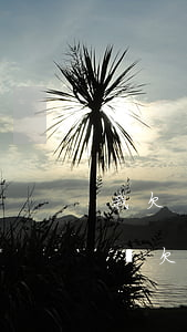 我欠網(wǎng)貸和信用卡20萬沒錢還(欠網(wǎng)貸信用卡20萬無力償還怎么辦)