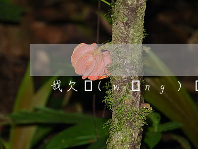 我欠網(wǎng)貸太多怎么翻身