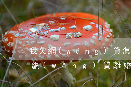 我欠網(wǎng)貸怎么跟老婆離婚(欠了網(wǎng)貸離婚以后還用丈夫還嗎)