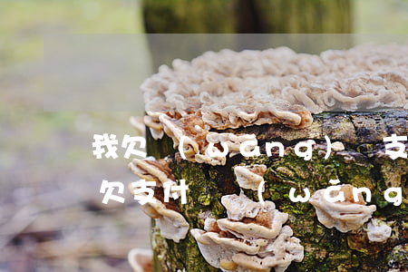 我欠網(wǎng)貸支付寶一共二十多萬(欠支付寶網(wǎng)貸一共80萬)