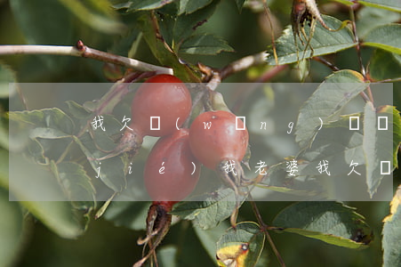 我欠網(wǎng)貸會(huì)凍結(jié)我老婆(我欠網(wǎng)貸會(huì)凍結(jié)我老婆)