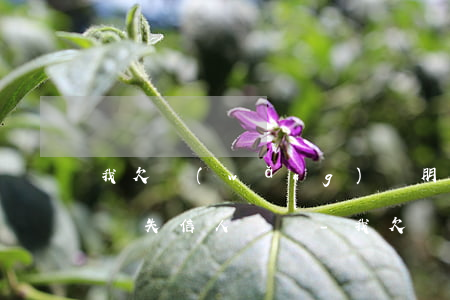 我欠網(wǎng)貸朋友會(huì)成為失信人員嗎-我欠網(wǎng)貸朋友會(huì)成為失信人員嗎知乎