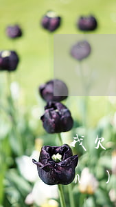 我欠網(wǎng)貸的卡被扣錢(qián)了(欠網(wǎng)貸辦銀行卡會(huì)被扣錢(qián)嗎)