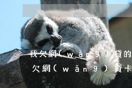 我欠網(wǎng)貸的卡被扣錢了怎么辦(欠網(wǎng)貸卡里的錢能被扣走嗎)