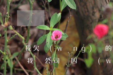 我欠網(wǎng)貸的錢找到公司會開除我嗎(公司會因為網(wǎng)貸欠錢而辭退員工媽嗎)