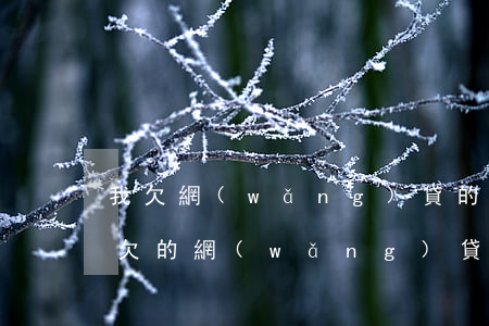我欠網(wǎng)貸的錢會找家人還嗎(我欠的網(wǎng)貸會讓家里人還嗎)
