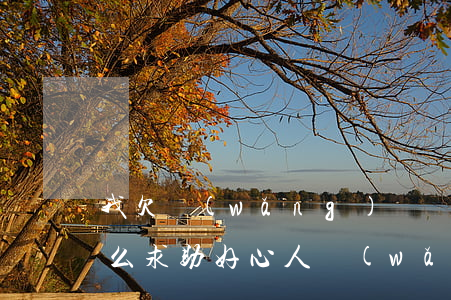 我欠網(wǎng)貸網(wǎng)上怎么求助好心人(網(wǎng)貸欠債正規(guī)救助平臺)