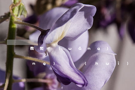 我欠網(wǎng)貸該怎么辦(欠網(wǎng)貸會(huì)怎樣)