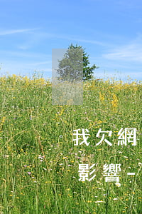 我欠網(wǎng)貸還不上對小孩有什么影響-我欠網(wǎng)貸還不上對小孩有什么影響嗎