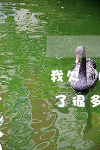 我欠網(wǎng)貸還不起了該怎么辦(欠了很多網(wǎng)貸還不起了怎么辦)