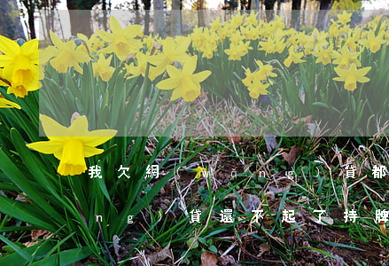 我欠網(wǎng)貸都是持牌的網(wǎng)貸還不起了(持牌網(wǎng)絡(luò)小貸不還會怎么樣)