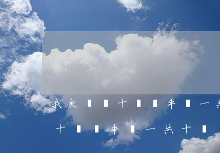 我欠網貸十幾個平臺一共十幾萬-我欠網貸十幾個平臺一共十幾萬怎么辦