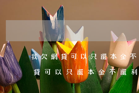 我欠網貸可以只還本金不還利息呢-我欠網貸可以只還本金不還利息呢怎么辦