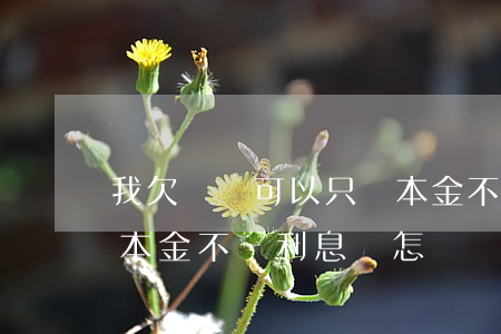 我欠網貸可以只還本金不還利息呢(網貸還了本金不還利息會怎樣)