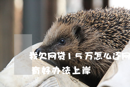 我欠网贷15万怎么还(网贷欠款15万,有没有好办法上岸)