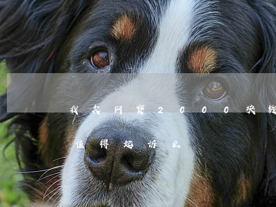 我欠网贷2000块钱(欠2000块钱网贷值得起诉么)