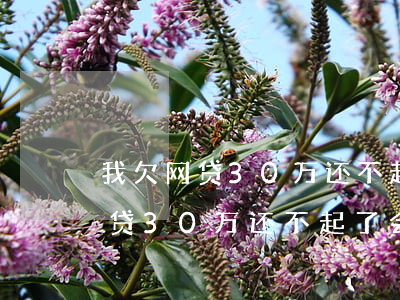 我欠网贷30万还不起了会坐牢么-我欠网贷30万还不起了会坐牢么吗