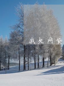 我欠网贷离婚了财产可以分割吗-