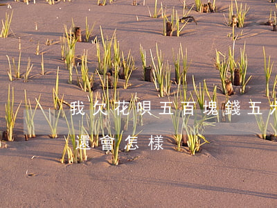 我欠花唄五百塊錢五六個月沒還(花唄五千沒還會怎樣)