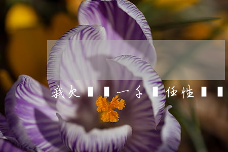 我欠蘇寧一千塊任性貸會上門嗎-