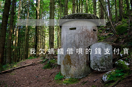 我欠螞蟻借唄的錢(支付寶借唄欠錢不還)