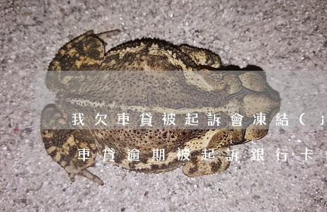 我欠車貸被起訴會凍結(jié)銀行卡嗎(車貸逾期被起訴銀行卡也被凍結(jié))